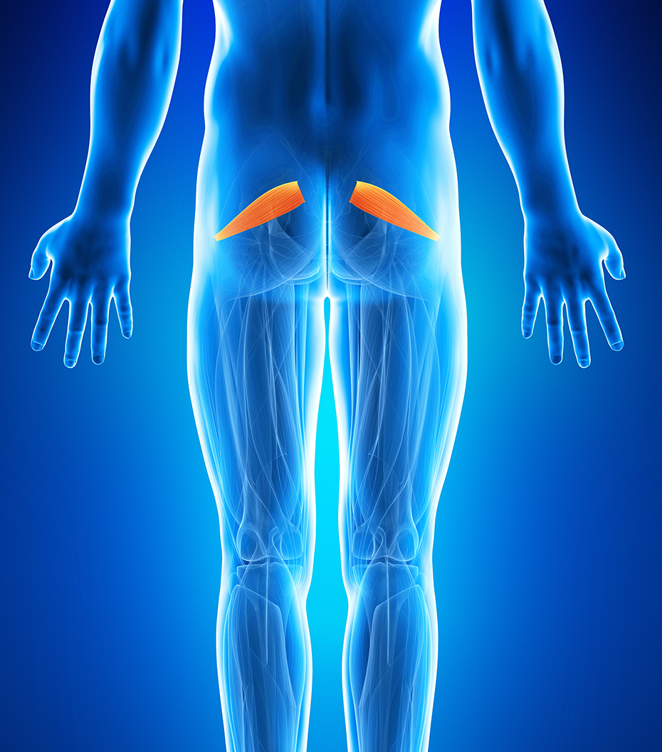 tratamente pentru articulațiile șoldului medicina articulației genunchiului