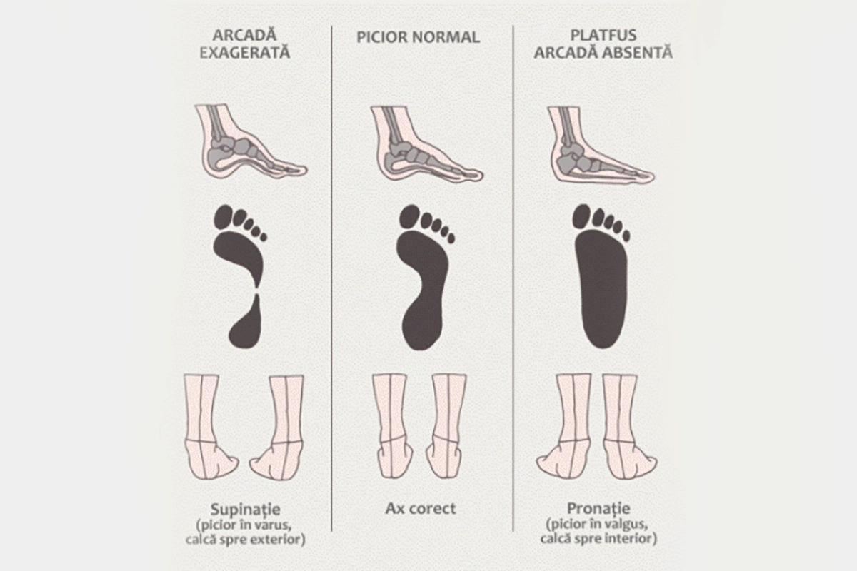 biomecanica-piciorului